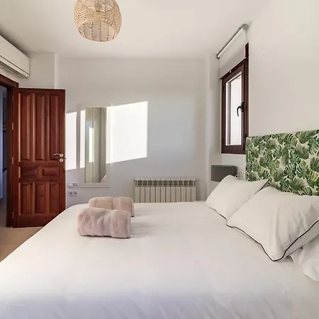 Beautiful Duplex-city Center. Parking By The House Holiday home Granada
